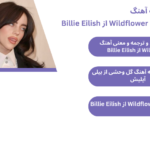 متن و ترجمه آهنگ Wildflower از Billie Eilish 